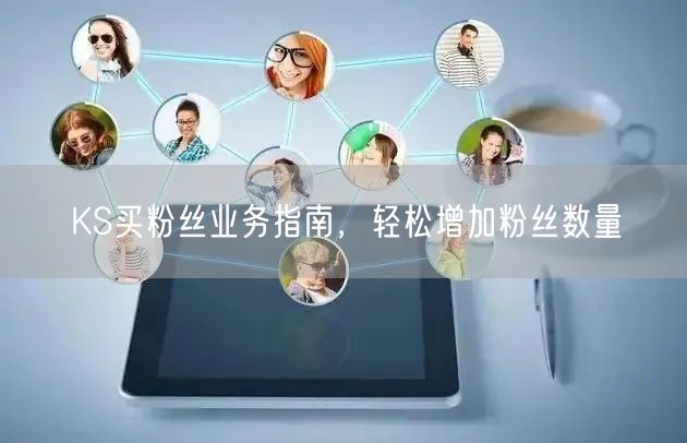 KS买粉丝业务指南，轻松增加粉丝数量