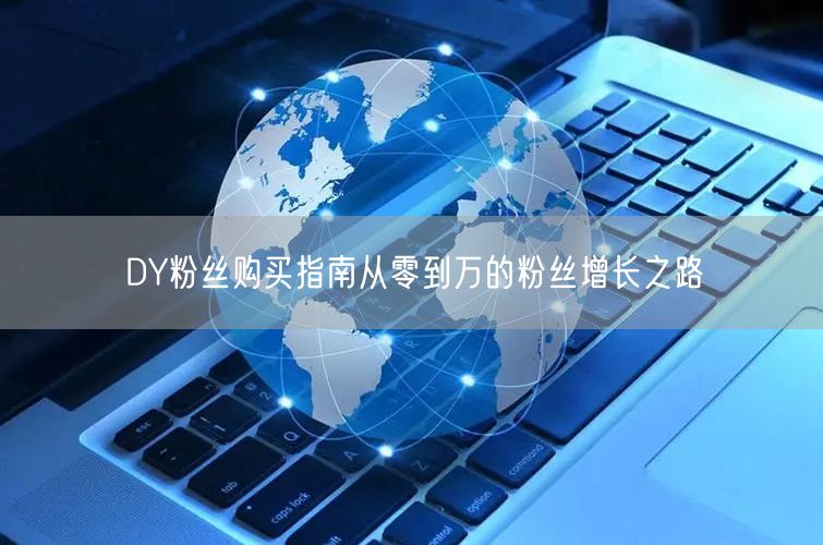 DY粉丝购买指南从零到万的粉丝增长之路