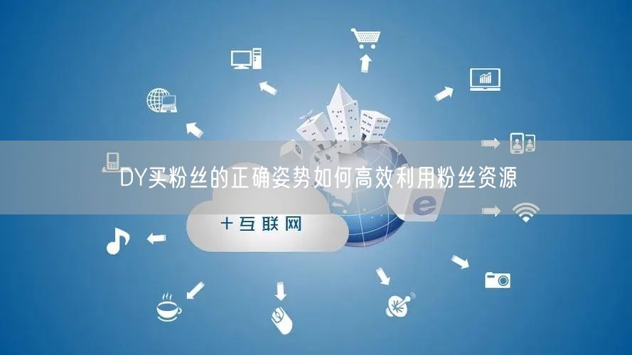 DY买粉丝的正确姿势如何高效利用粉丝资源