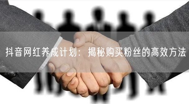 抖音网红养成计划：揭秘购买粉丝的高效方法