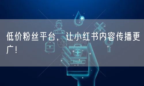 低价粉丝平台，让小红书内容传播更广！